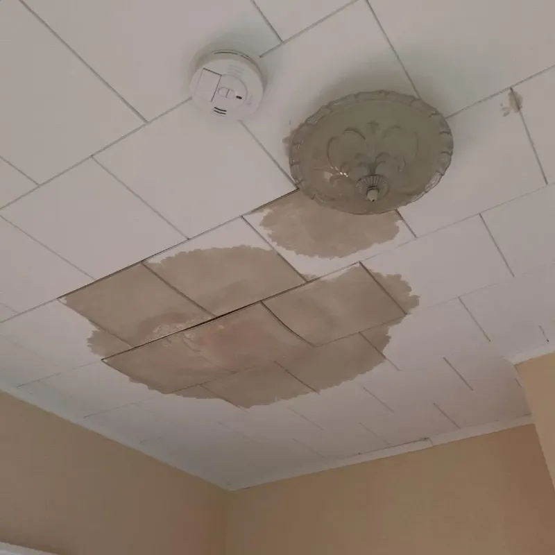 Ceiling Water Damage Repair in Walthall, MS
