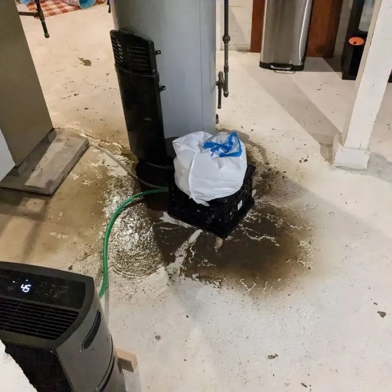 Sewage Backup Cleanup Service in Walthall, MS
